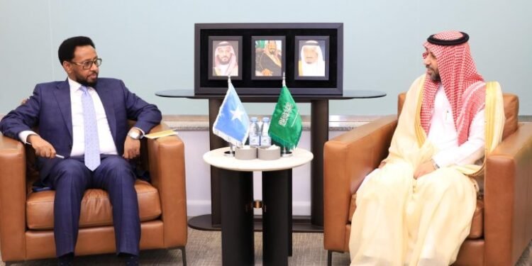 Finance Minister Holds Fruitful Talks with Saudi Deputy Finance Minister on Economic Cooperation