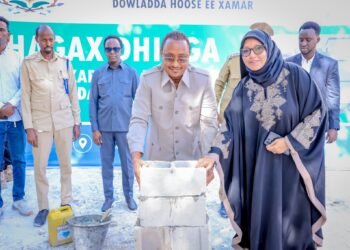 Gudoomiye Muungaab oo amar kasoo saaray Dhismooyinka Qadiimka ah ee degmada Shangaani.