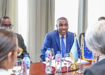 KULANKA RAISUL WASAARE XAMSA IYO WAKIILKA MIDOWGA YURUB EE AFRIKA