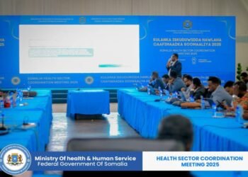 Shirkii isku-duwidda caafimaadka Soomaaliya oo la soo xiray 