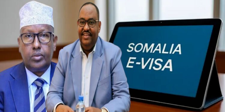 Xogta Xubno ka tirsan Daacish oo lagu ogaaday Nidaamka E-visa ee dowladda Soomaaliya.