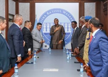 Raisul Wasaaraha oo qaabilay Wafdi ka socda dowladda Ciraaq.