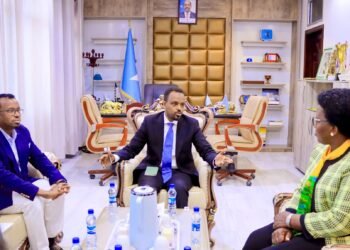 Wasiir ku xigeenka Warfaafinta oo la kulmay Guddiga Af-Sawaaxiliga ee Bariga Afrika