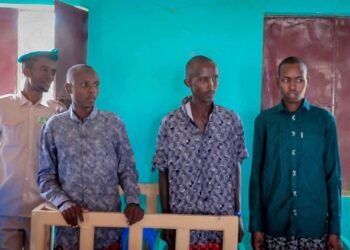 Xukun Toogasho ayaa laga soo saaray kiiska Dilkii Hooyo iyo Gabdhaheeda