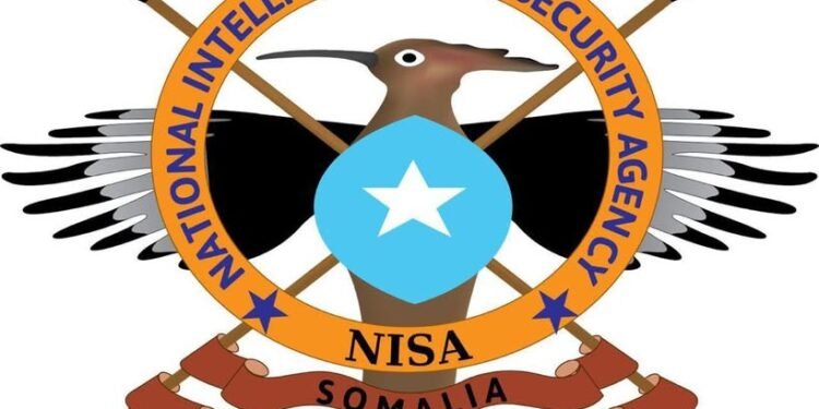 Howlgal laga fuliyay Gobolka Jubbada dhexe