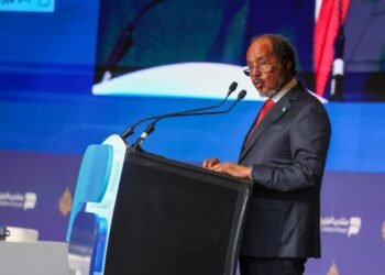 Madaxweyne Xassan Sheekh oo khudbad ka jeediyay Shir ka dhacay magaalada Doxa.