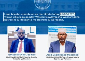 Laba Wasiiru-dowle oo xilkii laga qaaday.