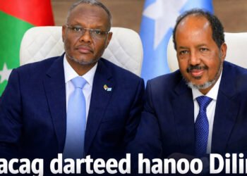 “Xasan Sheekh Lacag darteed hanoo Dilin” Lafta Gareen.