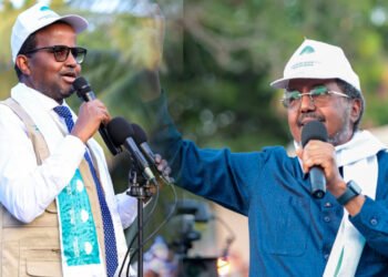 Odawaa iyo Xasan Sheekh oo kula tagay Siyaasadda