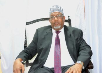 Aadan Madoobe oo loo doortay Hogaamiyaha Koonfur Galbeed