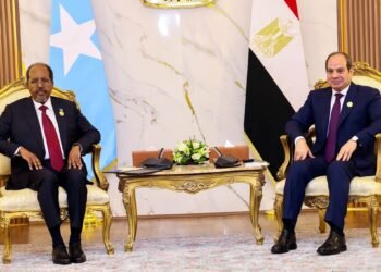 Maxey ka wada hadleen Madaxweyne Xasan Sheekh iyo Madaxweynaha Masar?