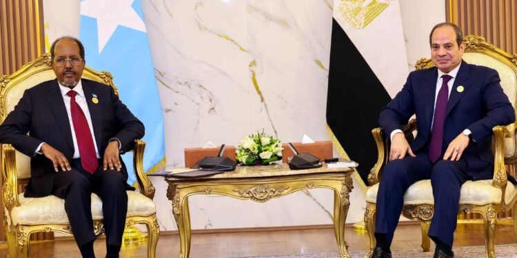 Maxey ka wada hadleen Madaxweyne Xasan Sheekh iyo Madaxweynaha Masar?
